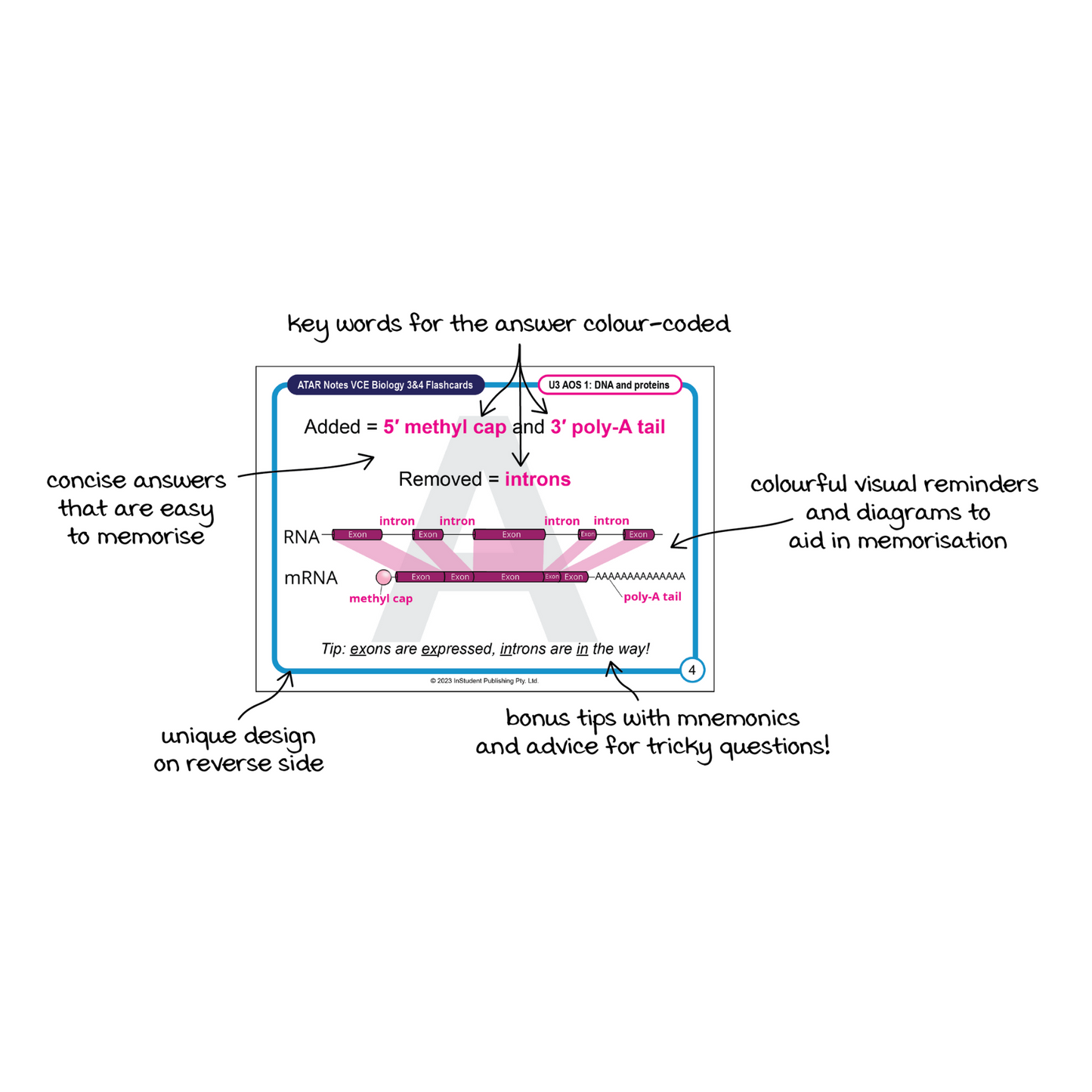 ATAR Notes Flashcards: HSC Year 12 Business Studies