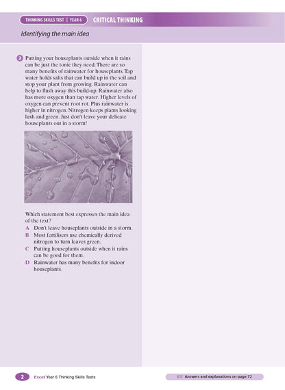 Excel Test Skills - Thinking Skills Tests Year 6