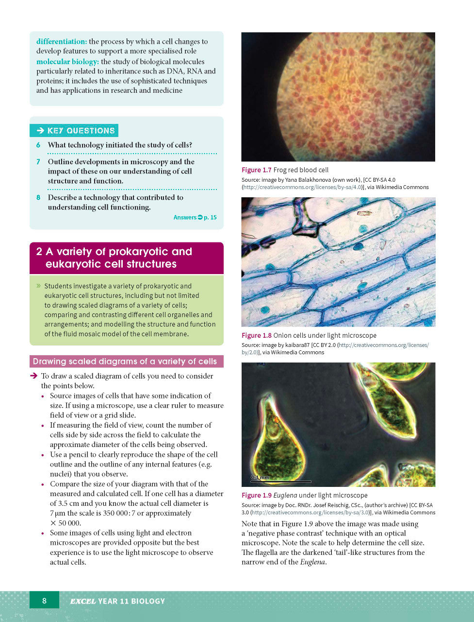 Excel HSC Year 11 Biology Study Guide