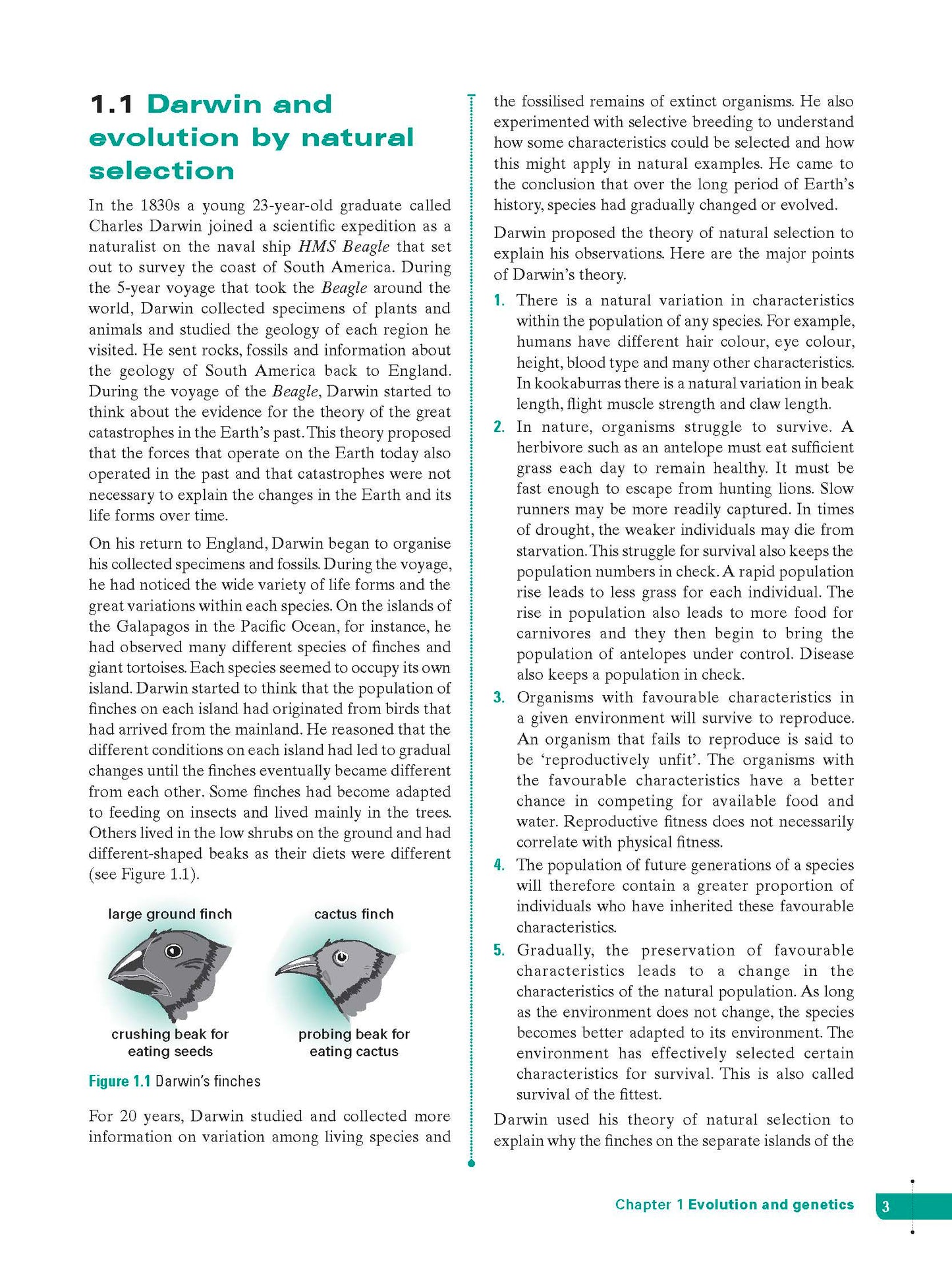 Excel Study Guide - Science Year 10