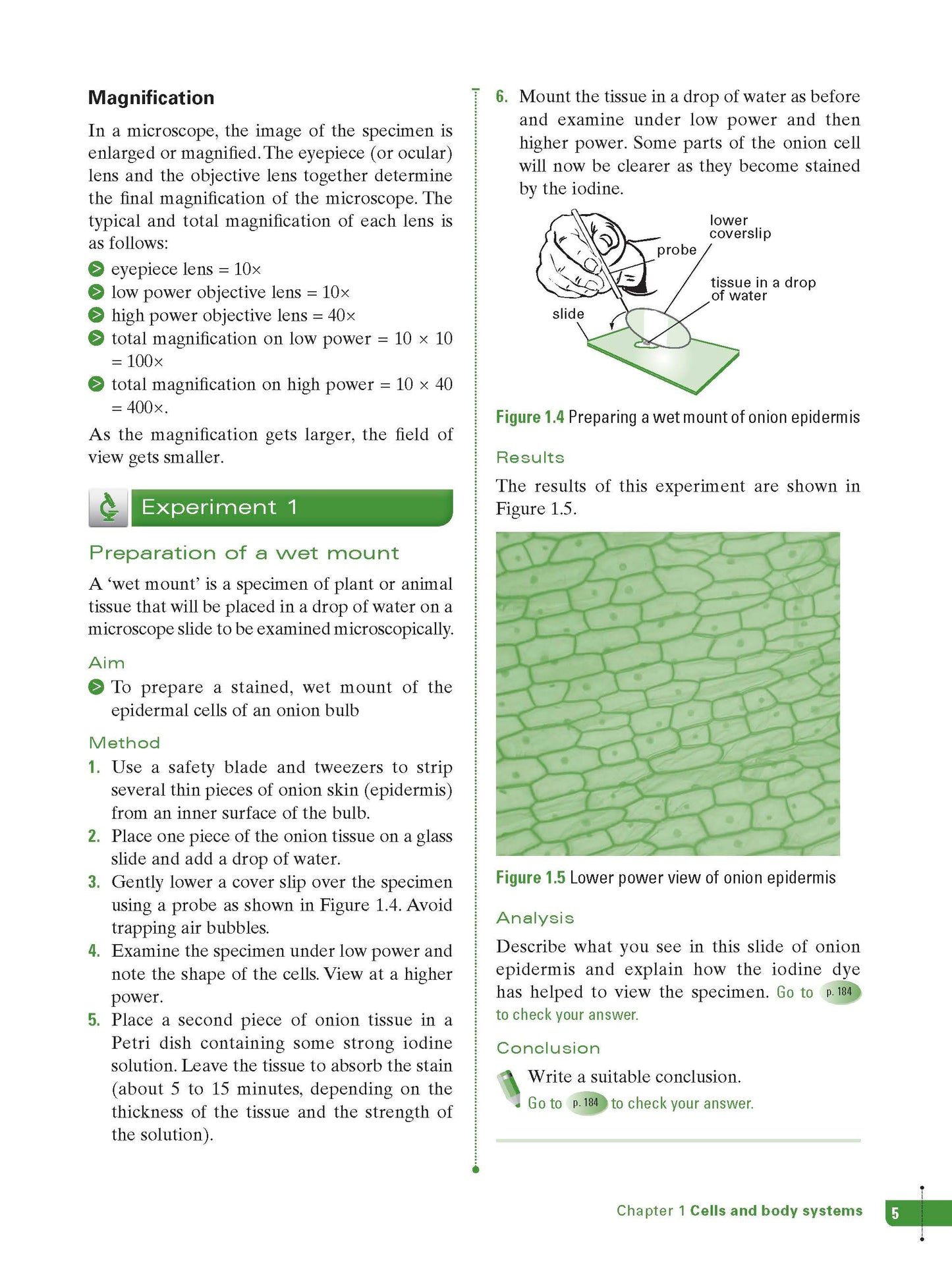 Excel Study Guide - Science Year 8