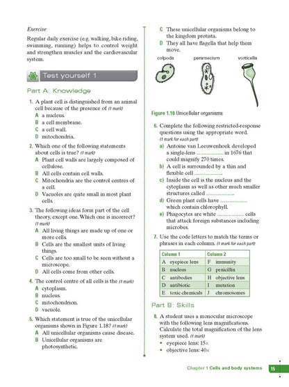 Excel Study Guide - Science Year 8