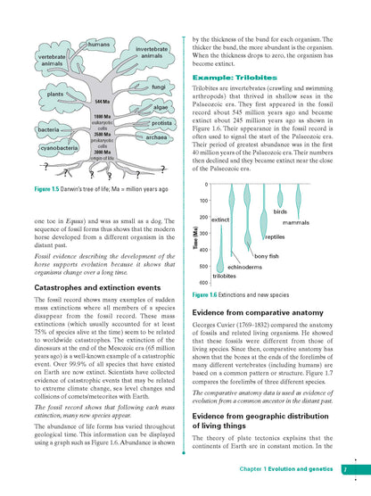 Excel Study Guide - Science Year 10