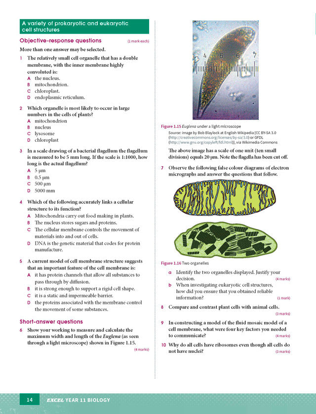 Excel HSC Year 11 Biology Study Guide
