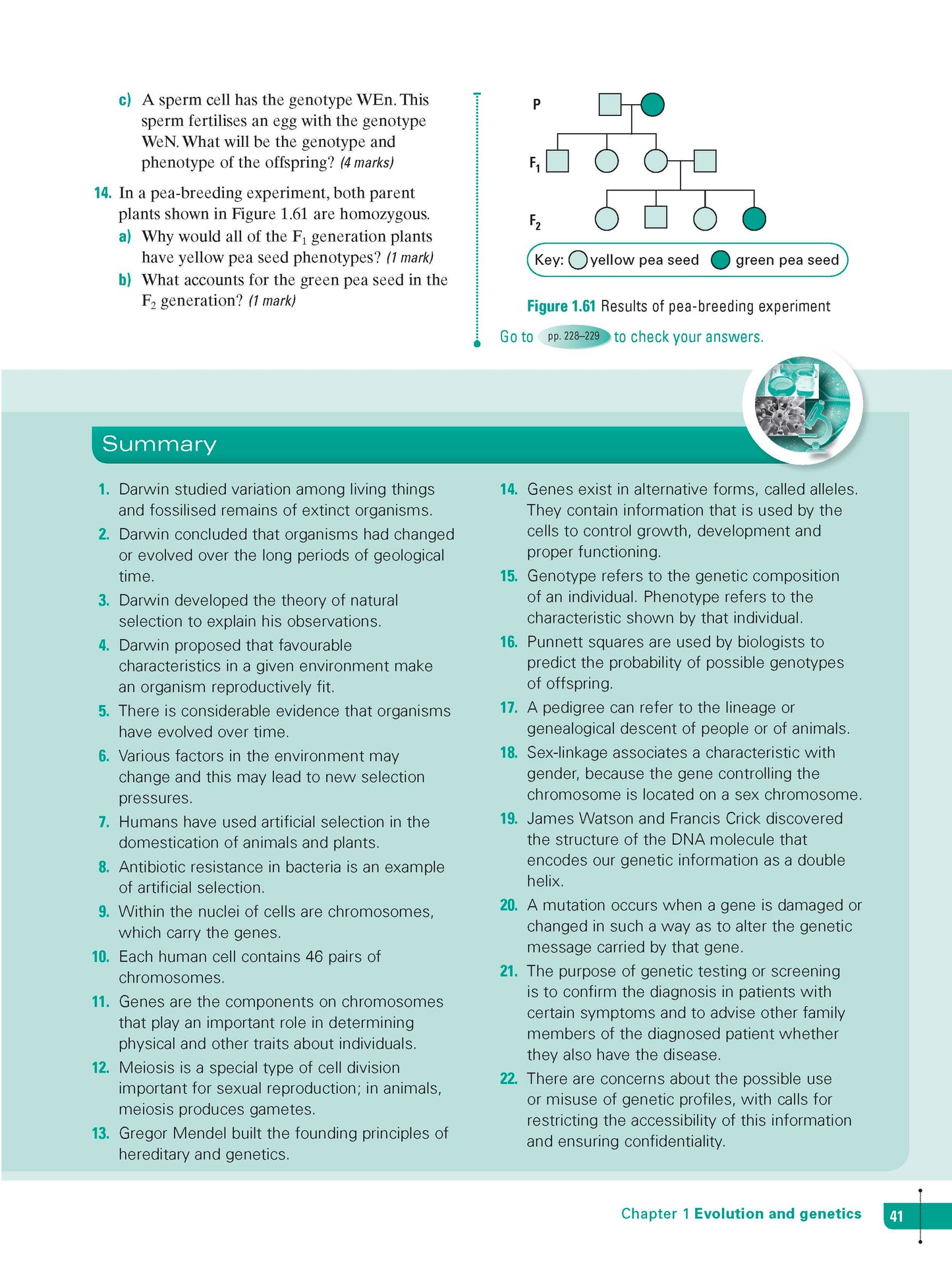 Excel Study Guide - Science Year 10