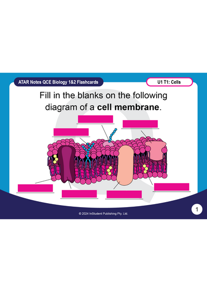 ATAR Notes Flashcards: QCE Biology 1&2 (2025 Curriculum)