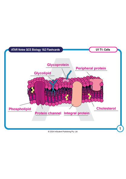 ATAR Notes Flashcards: QCE Biology 1&2 (2025 Curriculum)