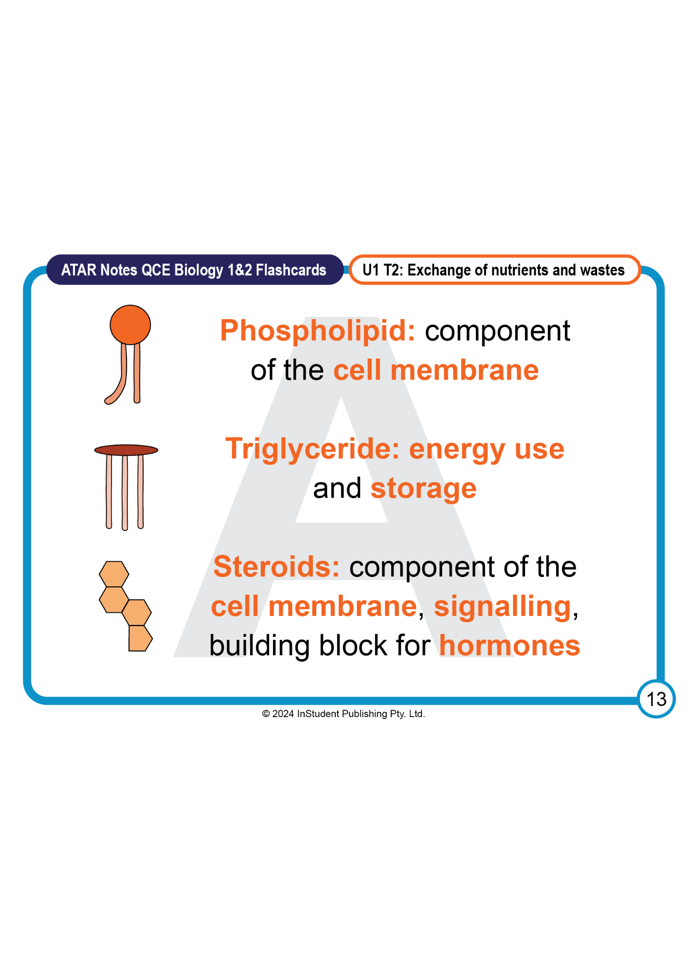 ATAR Notes Flashcards: QCE Biology 1&2 (2025 Curriculum)