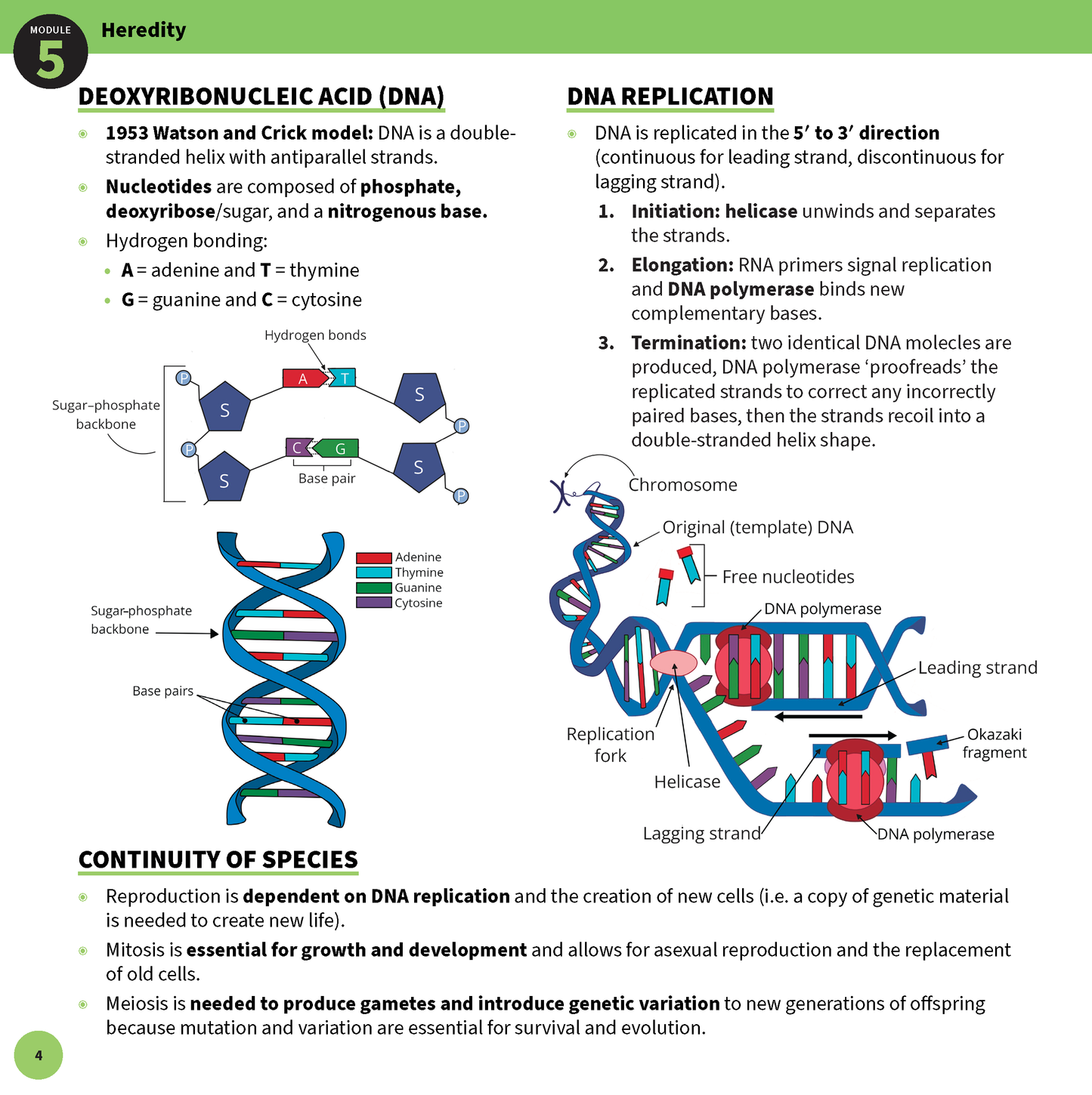 ATAR Notes HSC Year 12 Biology Summary Sheets (2025-2027)