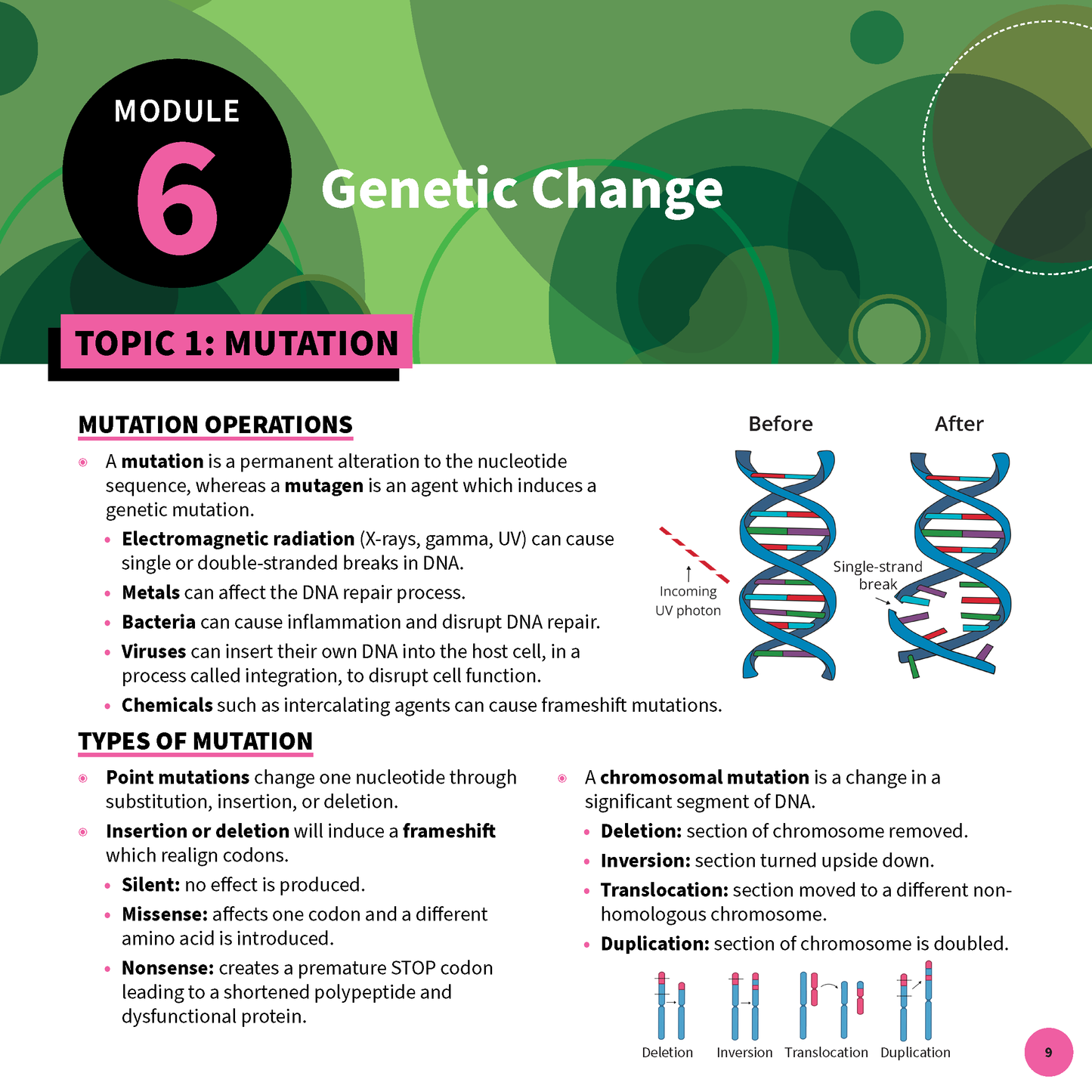 ATAR Notes HSC Year 12 Biology Summary Sheets (2025-2027)