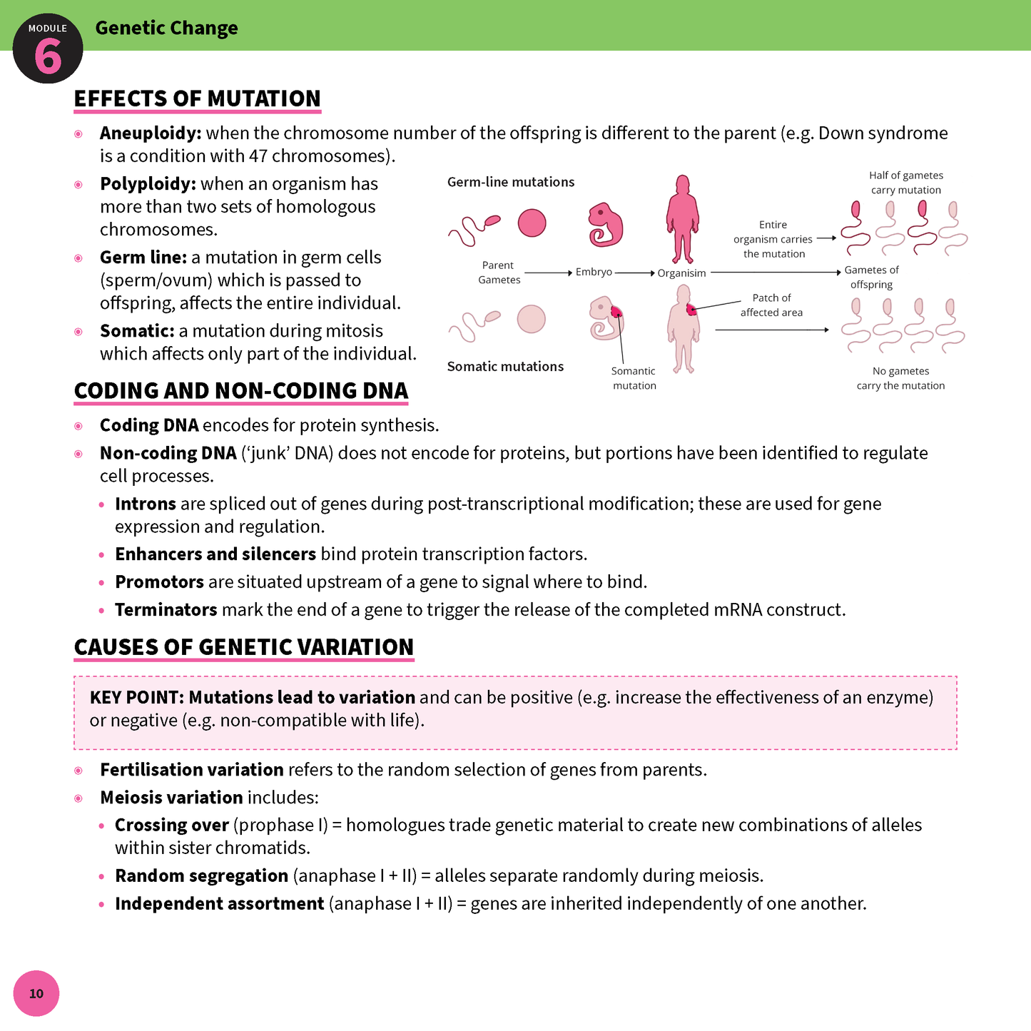 ATAR Notes HSC Year 12 Biology Summary Sheets (2025-2027)