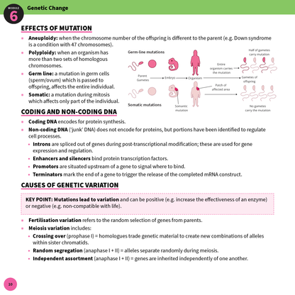 ATAR Notes HSC Year 12 Biology Summary Sheets (2025-2027)