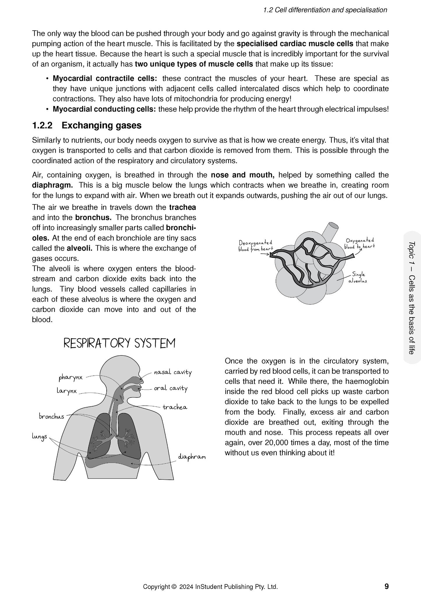 ATAR Notes QCE Biology 1&2 Complete Course Notes (2025–2027)