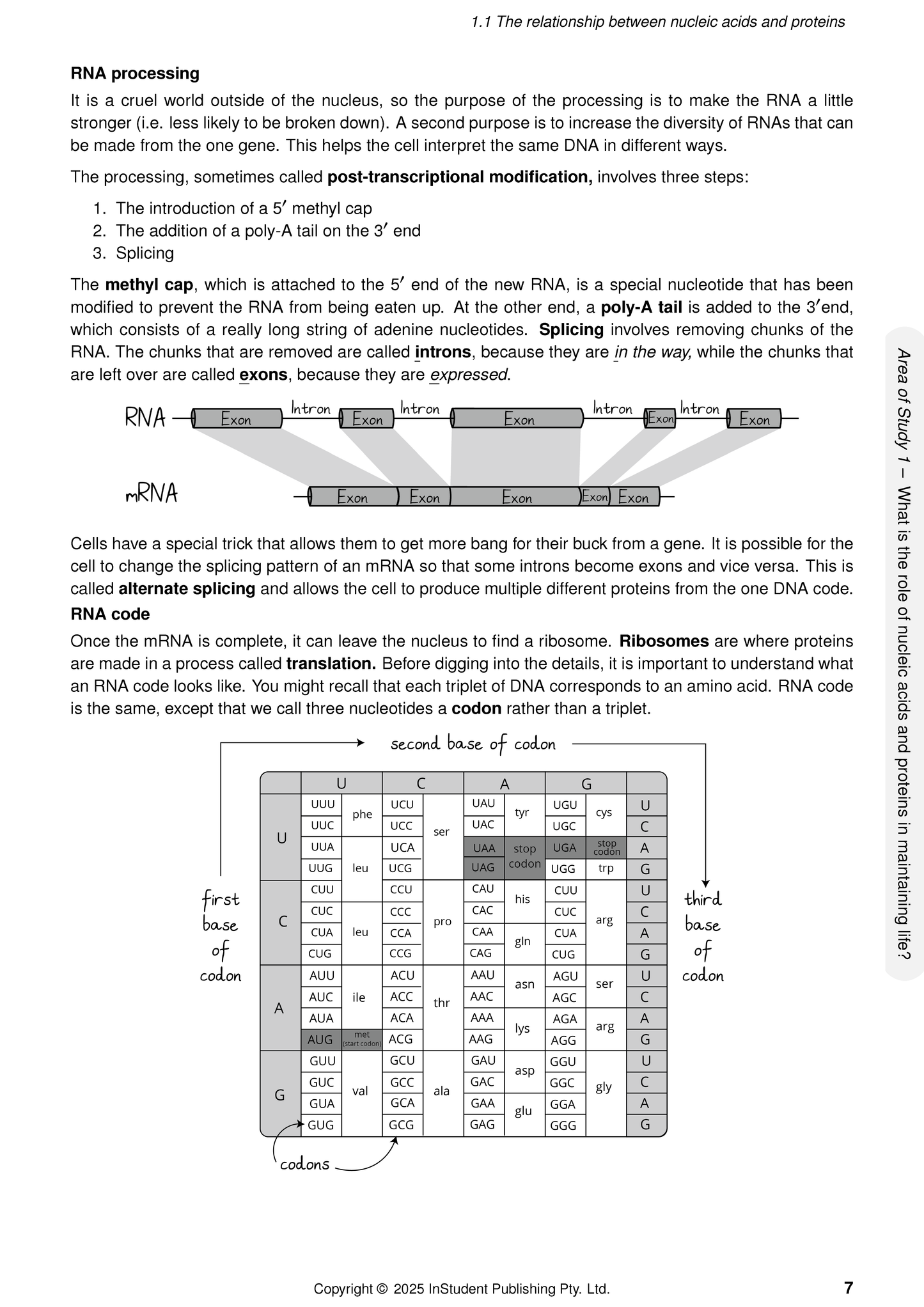 ATAR Notes VCE Biology 3&4 Complete Course Notes (2025-2026)