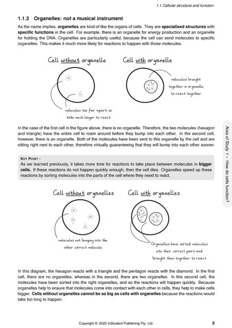 ATAR Notes VCE Biology 1&2 Notes (2025-2026)