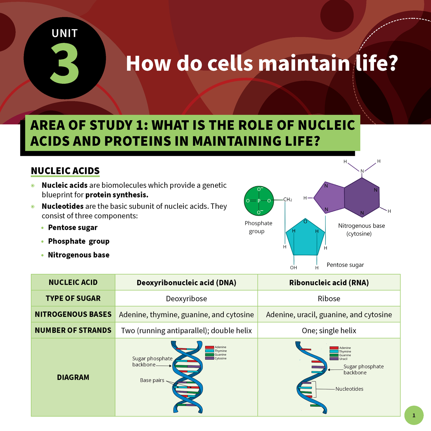 ATAR Notes VCE Biology 3&4 Summary Sheets (2025-2026)