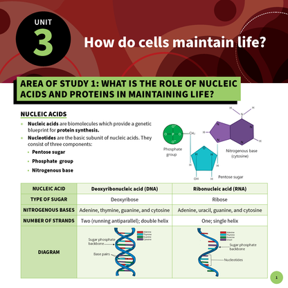 ATAR Notes VCE Biology 3&4 Summary Sheets (2025-2026)