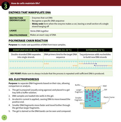 ATAR Notes VCE Biology 3&4 Summary Sheets (2025-2026)