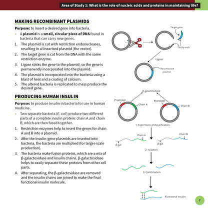 ATAR Notes VCE Biology 3&4 Summary Sheets (2025-2026)