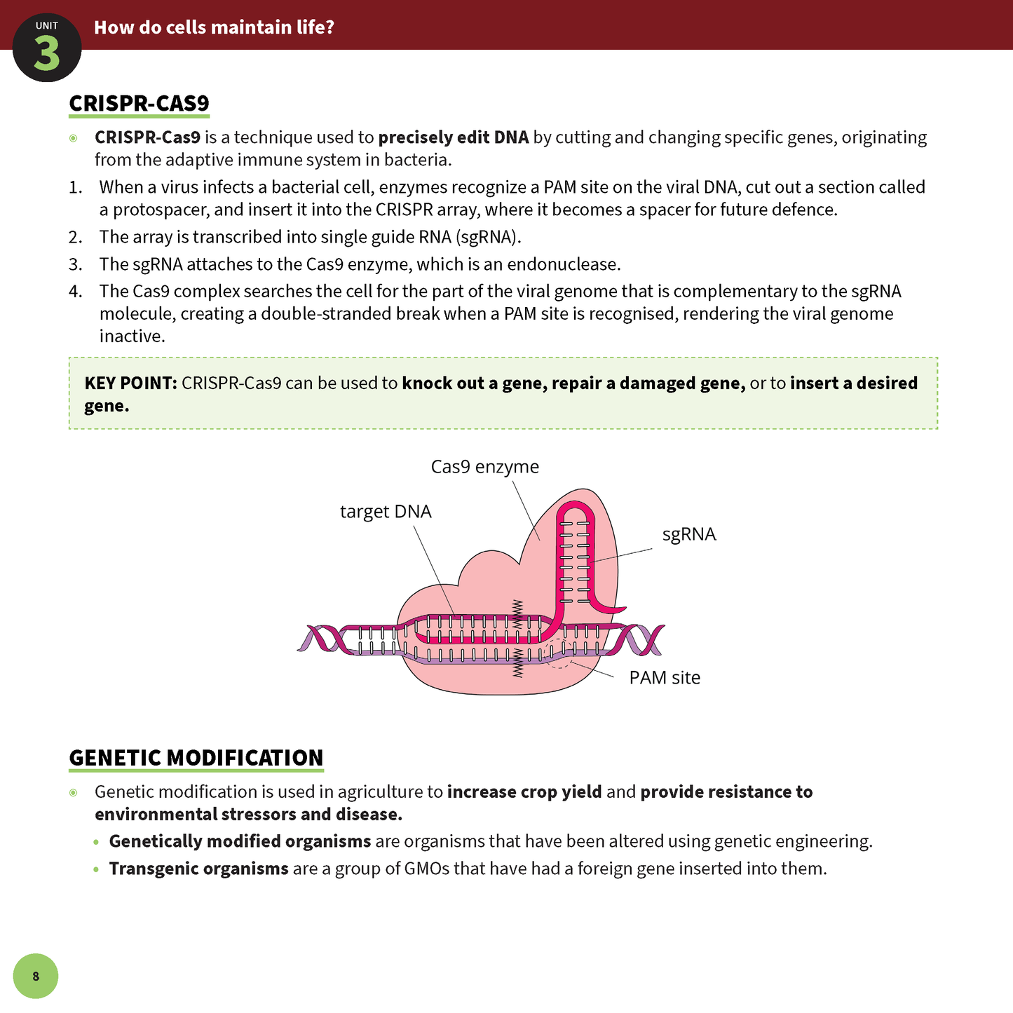 ATAR Notes VCE Biology 3&4 Summary Sheets (2025-2026)