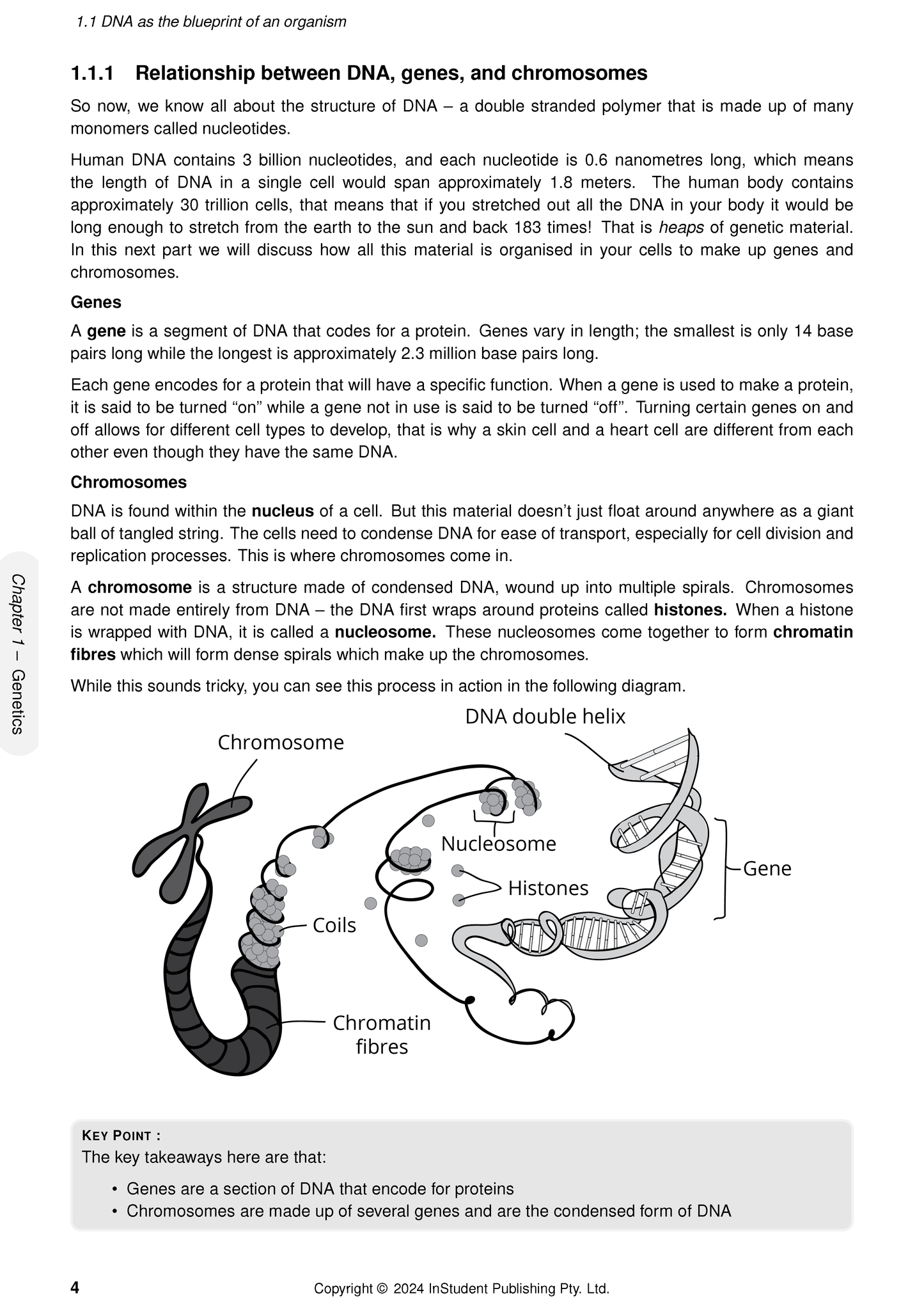 ATAR Notes Year 10 Science Complete Course Notes (2026-2028)