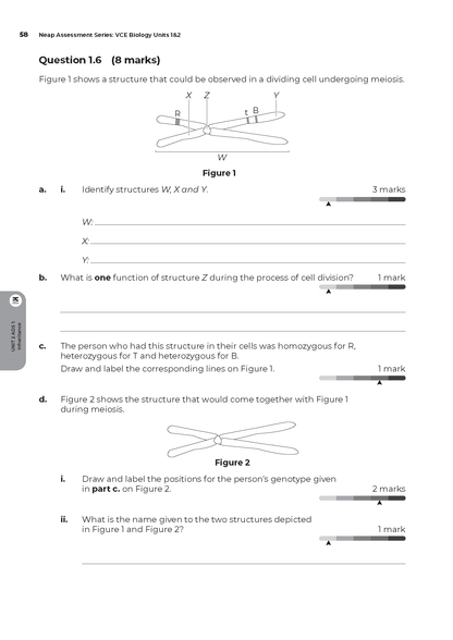 Neap Assessment Series: VCE Biology Units 1&2
